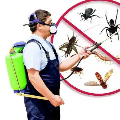 pest control Batavia